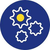 Icon 2