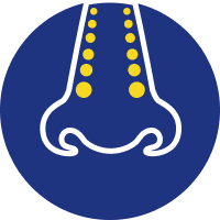 Icon 3