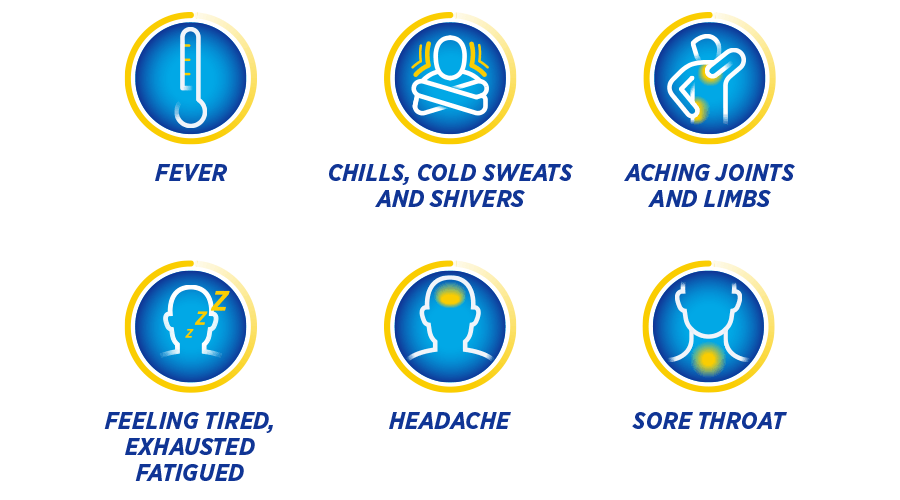 Flu Symptoms graphic table