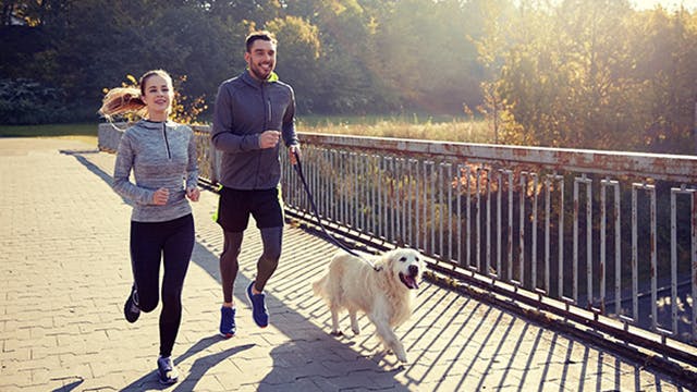 Healthy people jogging with dog 