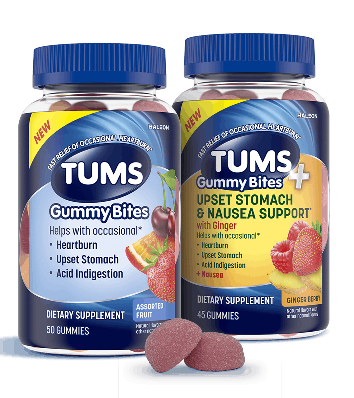 TUMS+ Upset Stomach & Nausea Support Ginger Berry & TUMS Gummy Bites Assorted Fruit Products with gummies