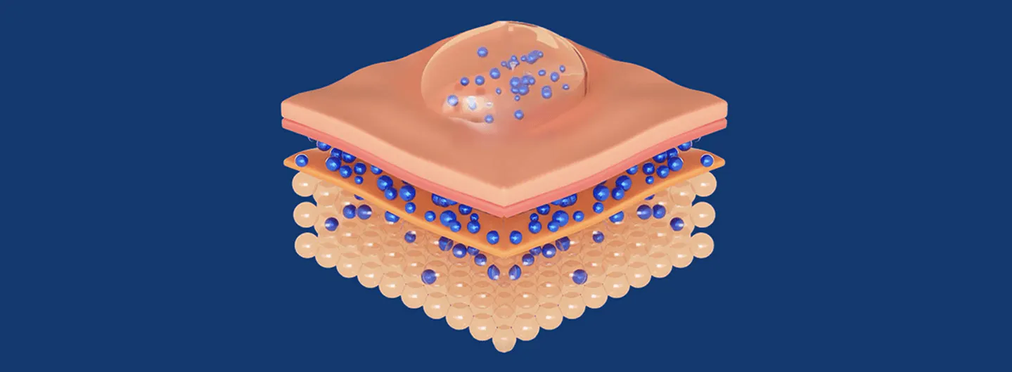 dermal reservoir