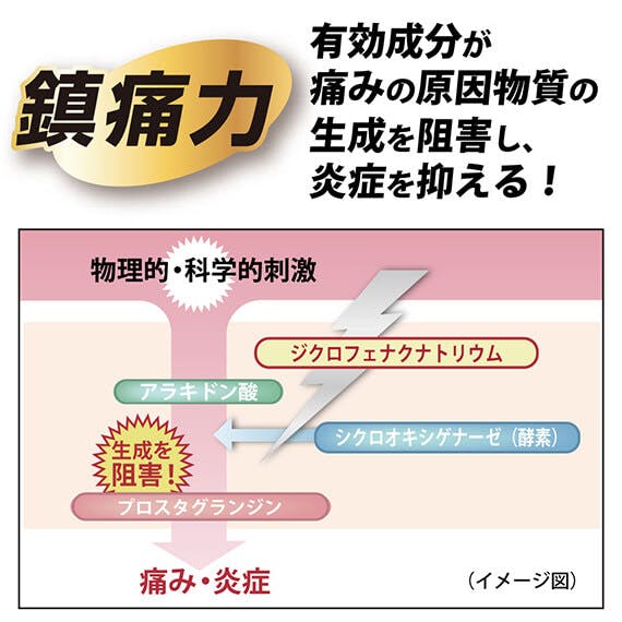 有効成分が痛みの原因物質の生成を阻害し炎症を抑える 有効成分が痛みの原因物質の生成を阻害し炎症を抑える