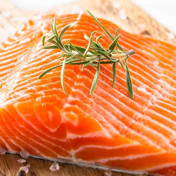 Salmon Salmon