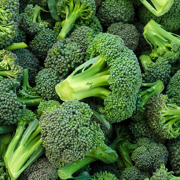 Close up of a pile of broccoli.