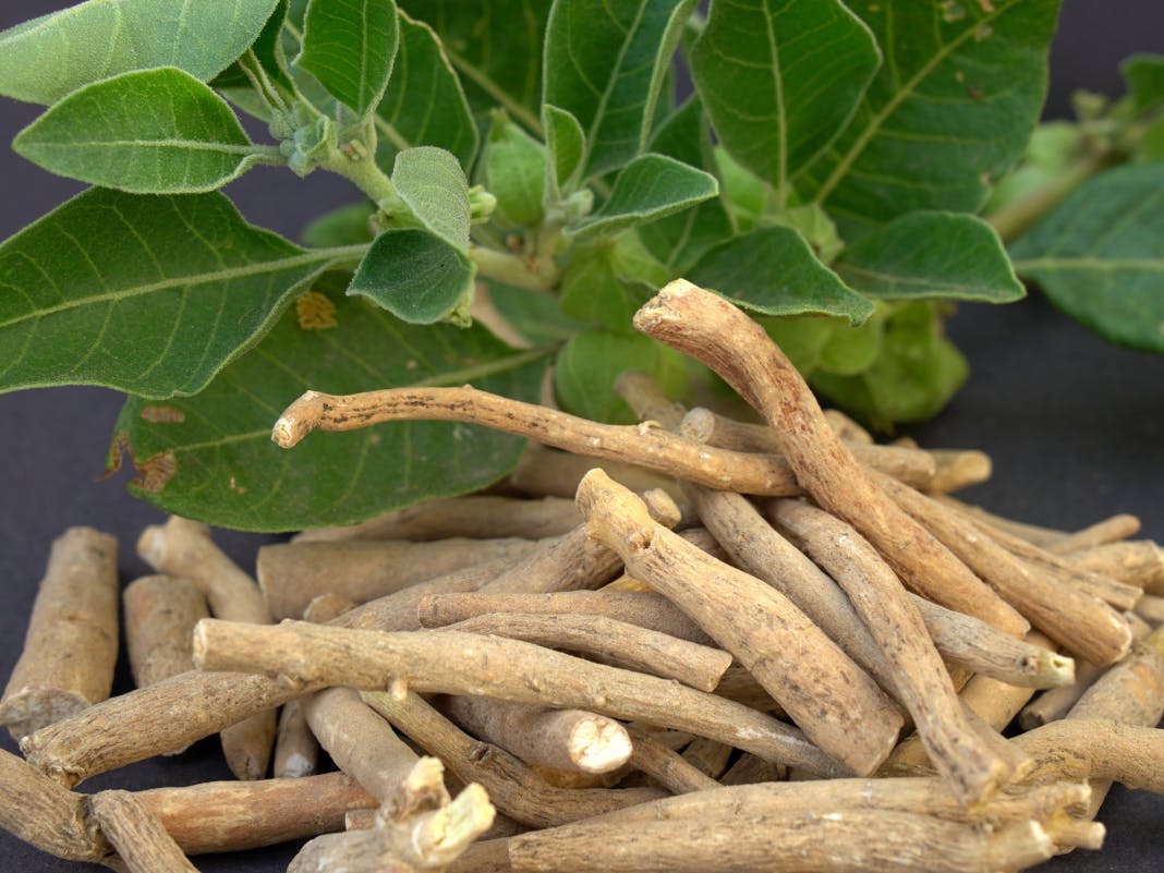 Ashwagandha root