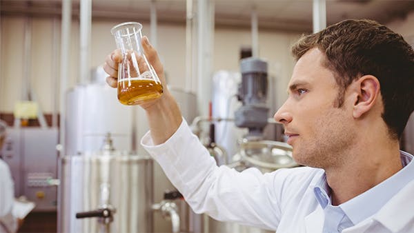 Man looking into erlenmeyer flask 