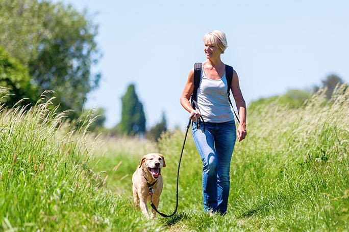 Woman with a backpack walking a dog