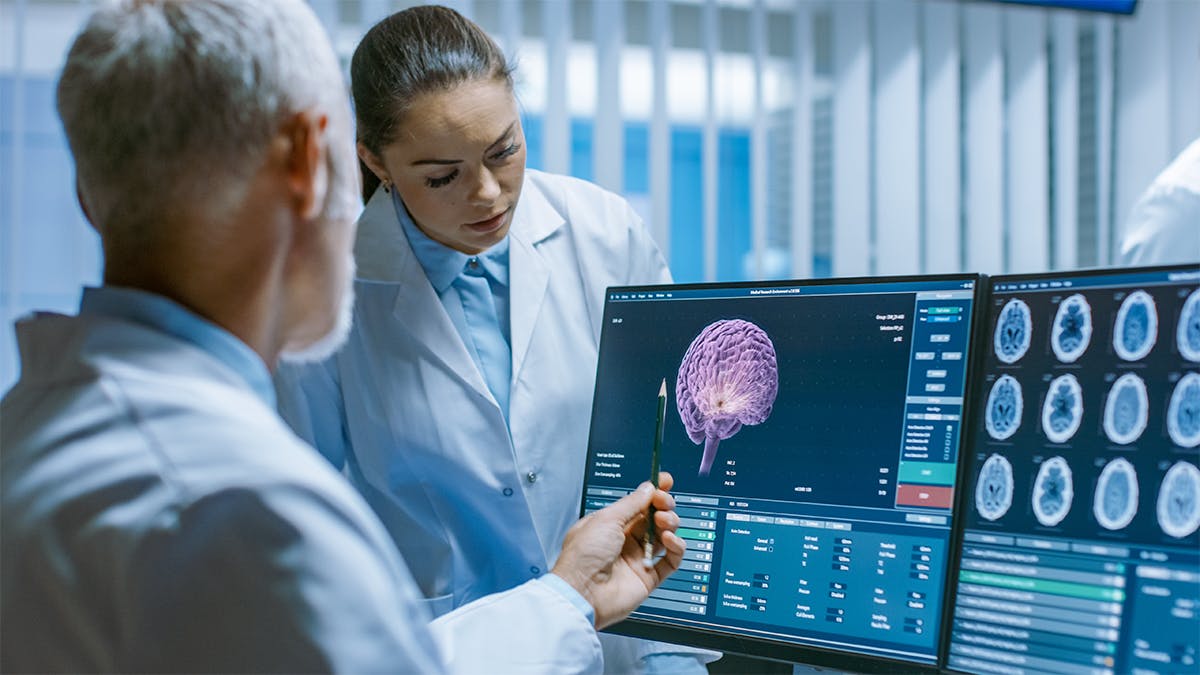 Two doctors examining brain research