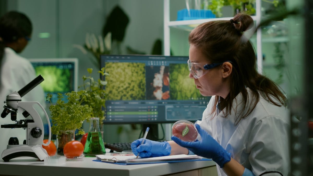 Food scientist working in a lab