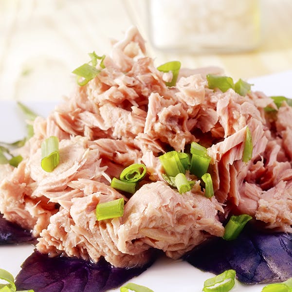 Canned Light Tuna 