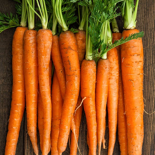 carrots carrots