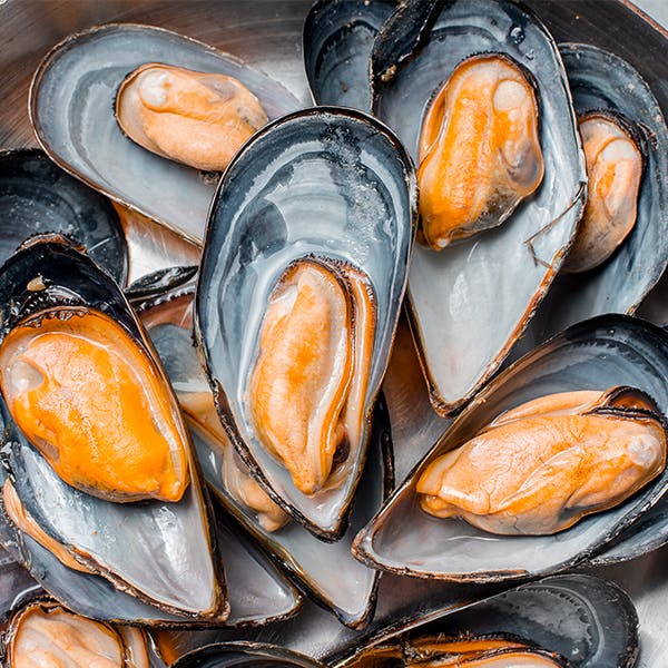 mussels mussels