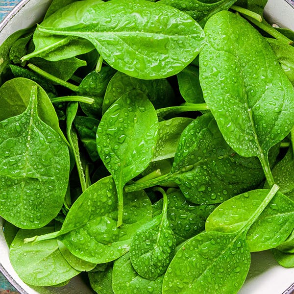 A circle of spinach