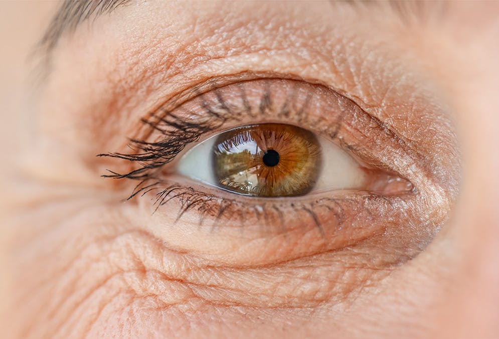 Supplements for eye support in people over the age of 50
