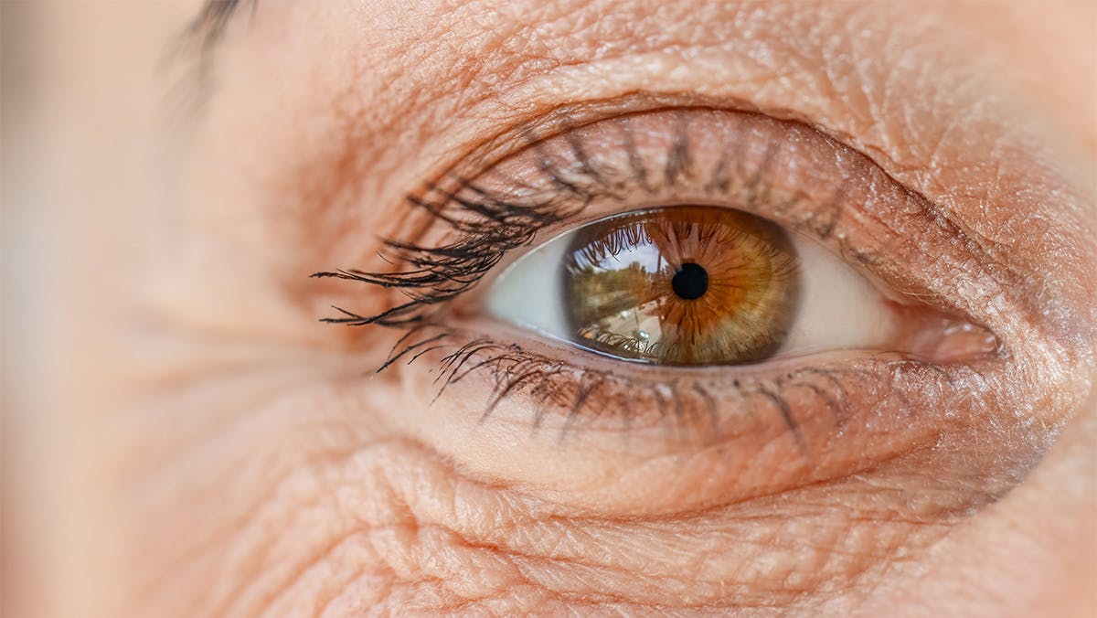 Supplements for eye support in people over the age of 50