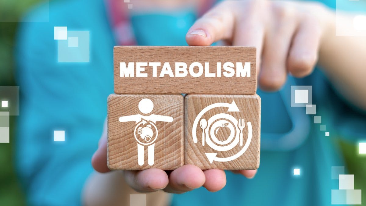 Person holding blocks that say “Metabolism” and illustrations of the medical concept of metabolism