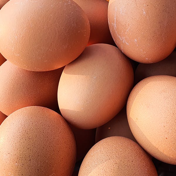 El huevo contiene biotina - Multicentrum 
