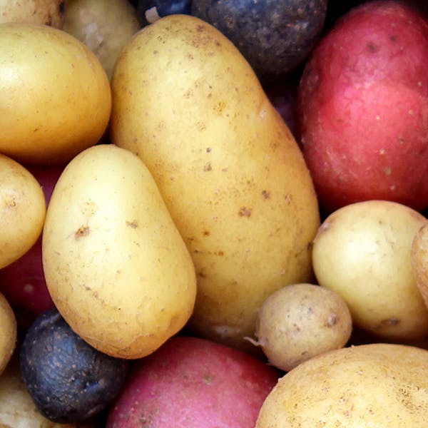 Las patatas contienen cobre - Multicentrum
