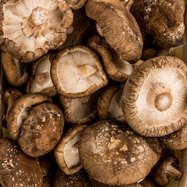 Shiitake Mushrooms image