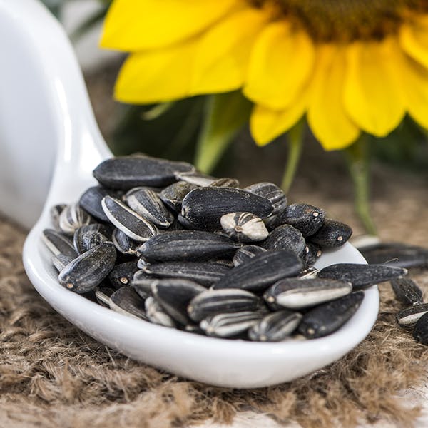 Sunflower Seeds Image