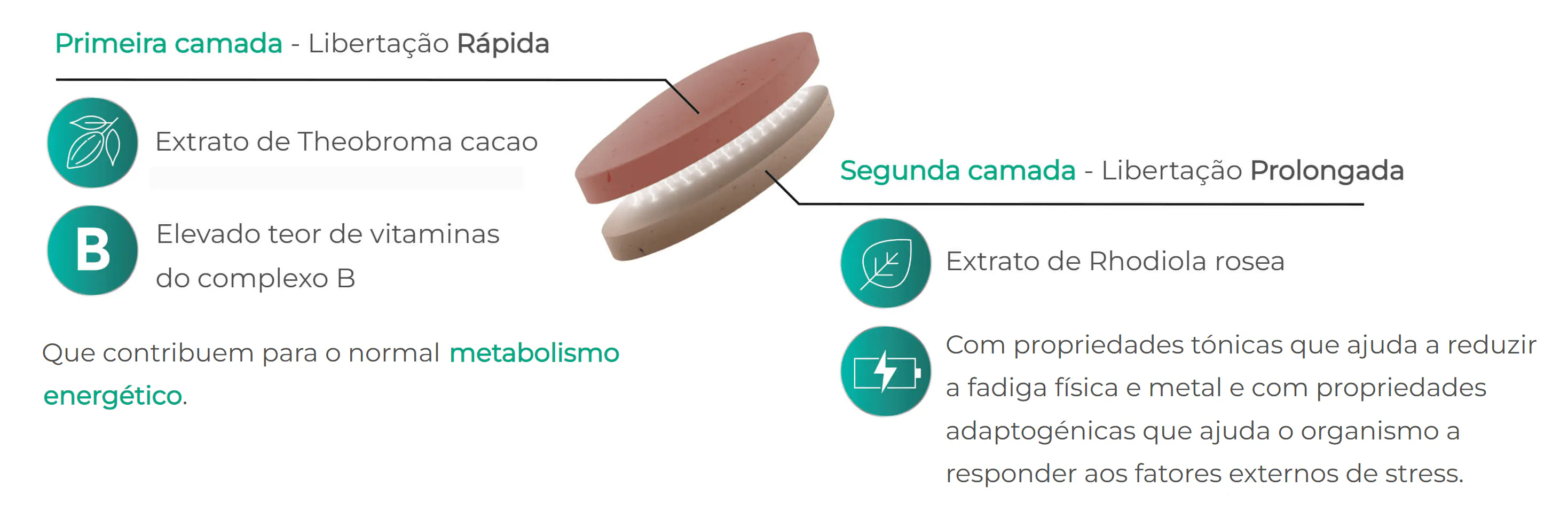 Tecnologia Dupla Camada