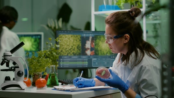 Food scientist working in a lab