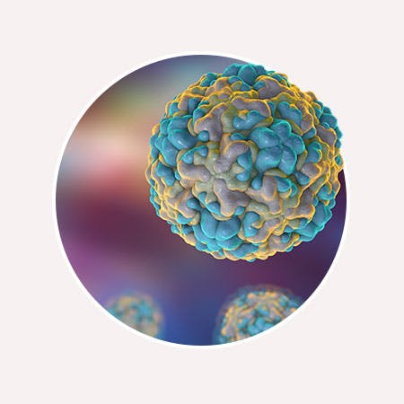 Image of common cold virus