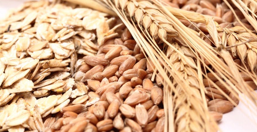 Types of Fiber Types of Fiber