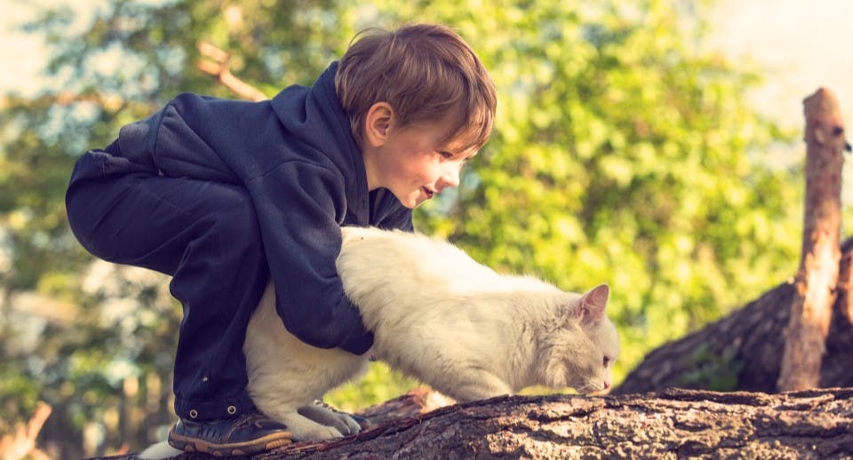A young boy holding a cat