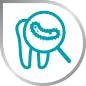 Bacteria