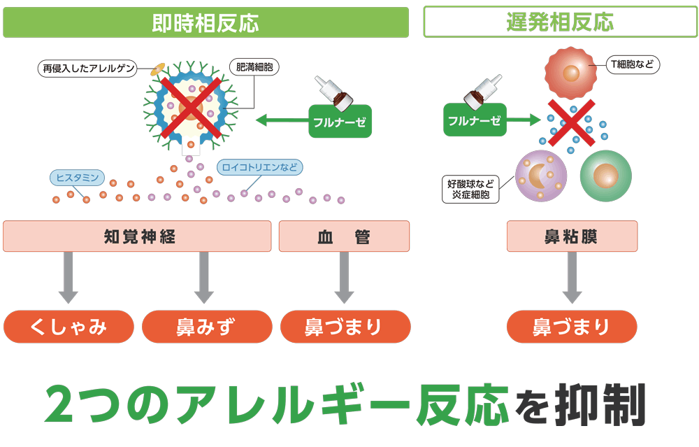 フルナーゼ点鼻薬は