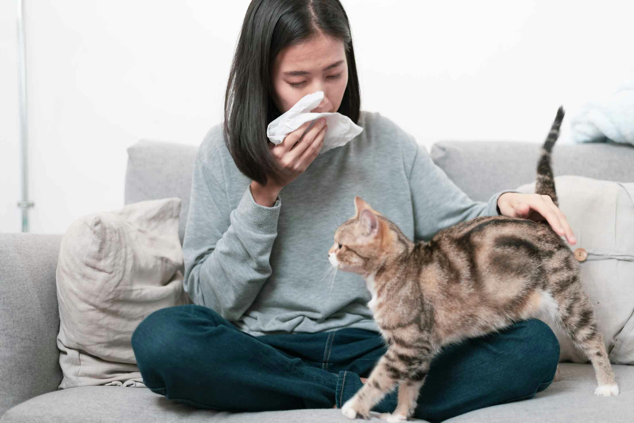Young Asian-American woman with cat allergy sitting on a couch
