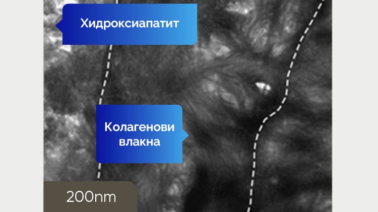 Получено от TEM изображение на дентин при 200 nm 