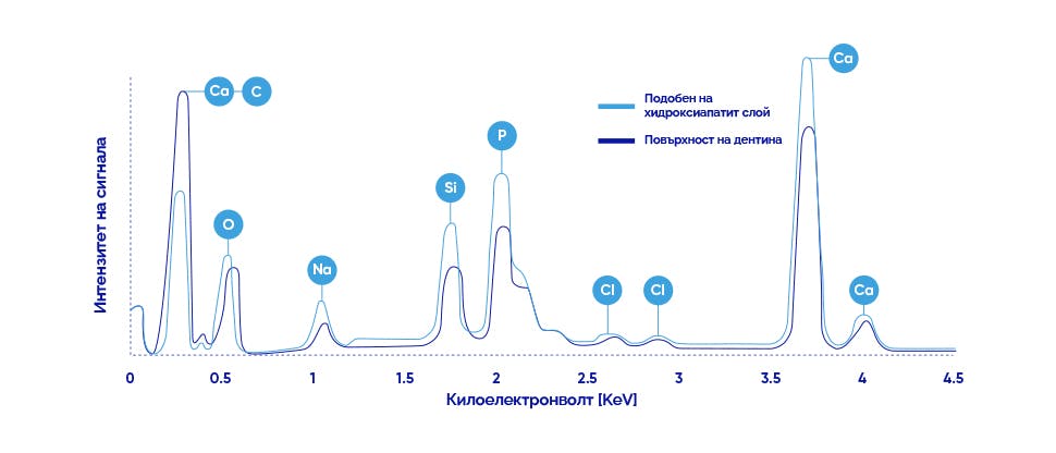 Рентгенова диаграма на кривите на дентина