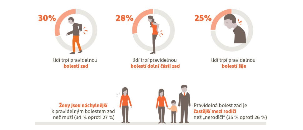 Grafické shrnutí míry prevalence bolesti zad a šíje