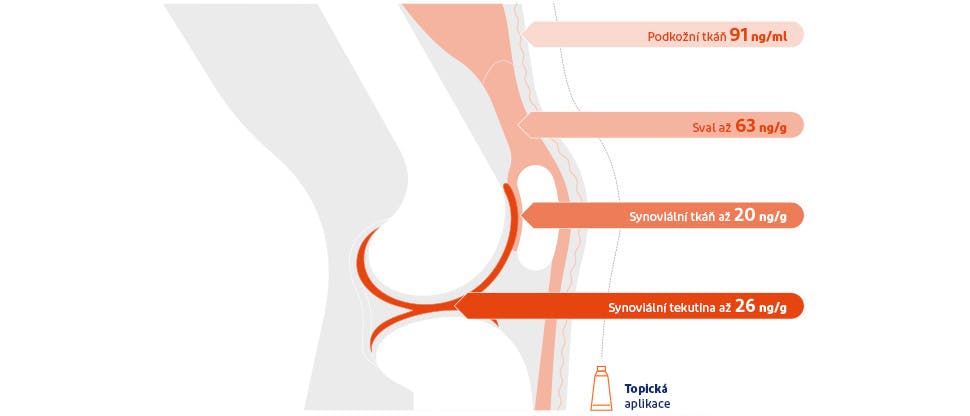 Schéma ukazující koncentraci diklofenaku v různých tkáních po topické aplikaci na koleno3