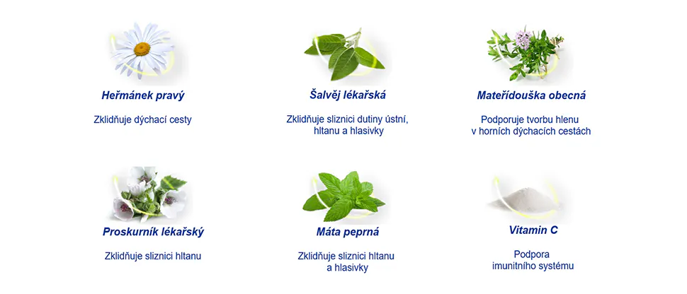 Síla 5 bylin a vitamínu C