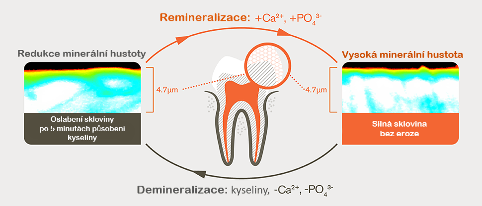 Proces demineralizace a remineralizace po 5 minutách působení kyselin