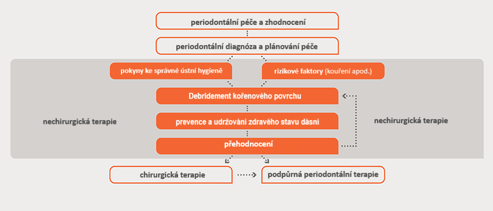Vývojový diagram hodnocení stavu parodontu a léčby