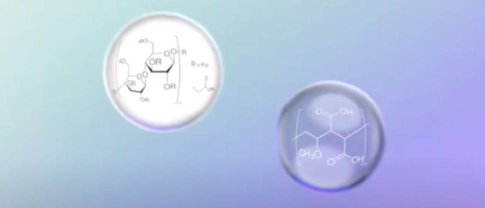 Duales Polymersystem