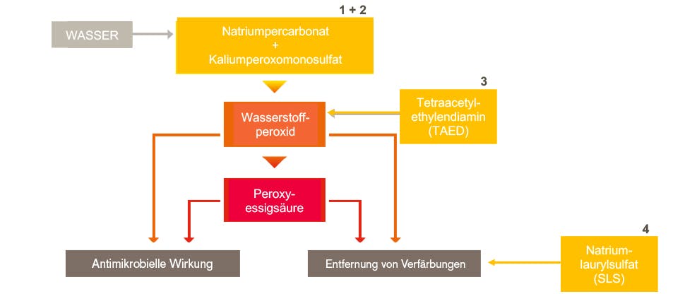 Für die Tiefenreinigung wirken vier Inhaltsstoffe zusammen