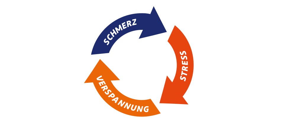 Grafische Darstellung des Kreislaufs von Schmerzen, Verspannung und Stress bei Rückenschmerzen