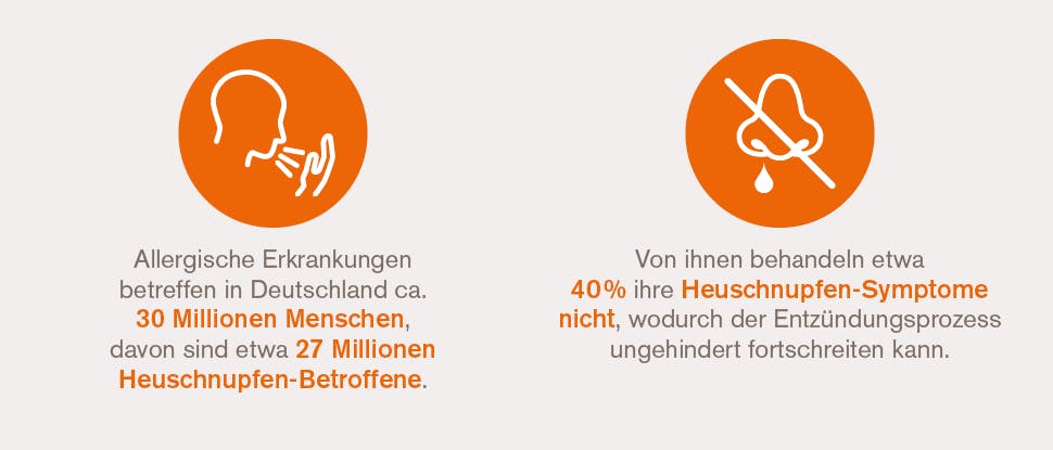 Infografik Heuschnupfen-Betroffene