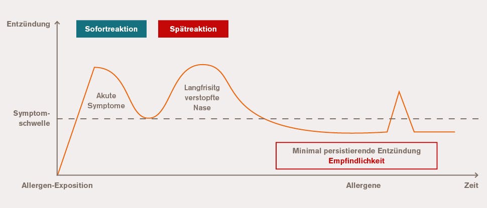 Infografik 5 Entzündung vs. Zeit