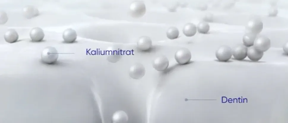 Kaliumnitrat und Dentin