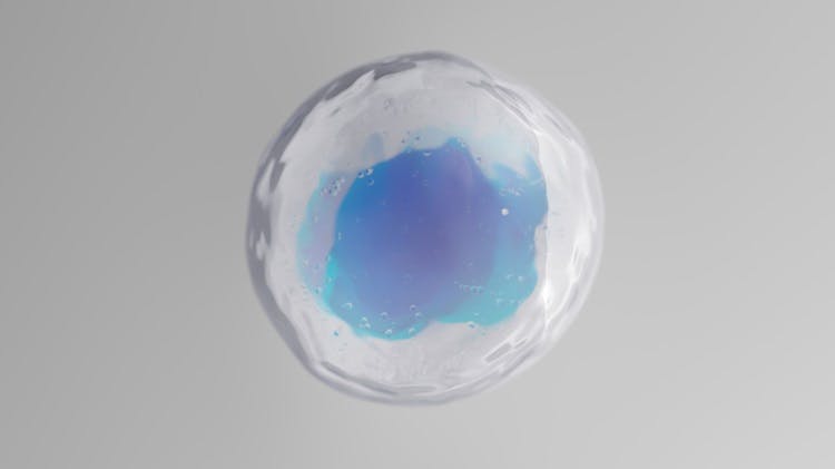 Επιστήμη δράσης του Φθοριούχου Κασσίτερου