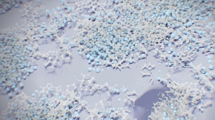 Συνθέσεις φθοριούχου κασσίτερου