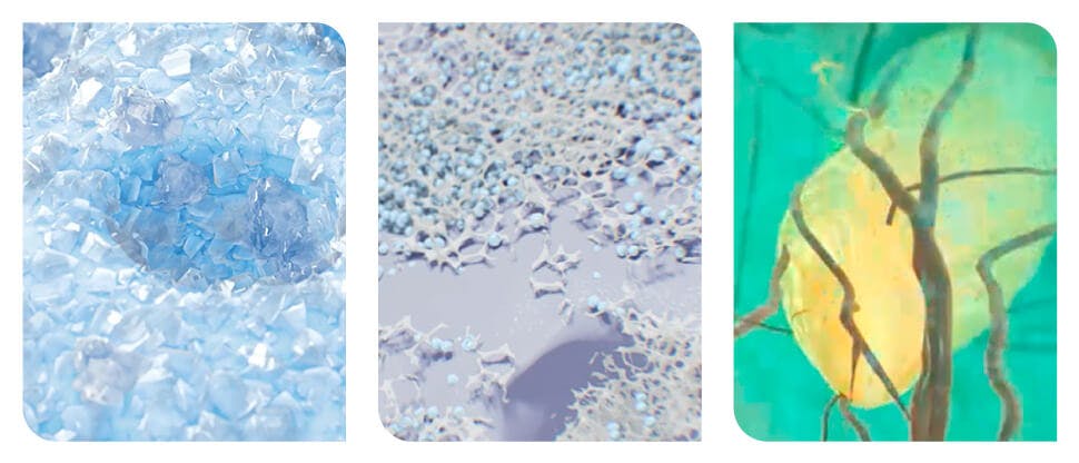 Εικόνες που δείχνουν σκελετό φθοριούχου κασσίτερου (Stannous fluoride scaffold), κρυσταλλική στρώση NovaMin και νεύρο που καταπραΰνεται από ιόντα καλίου