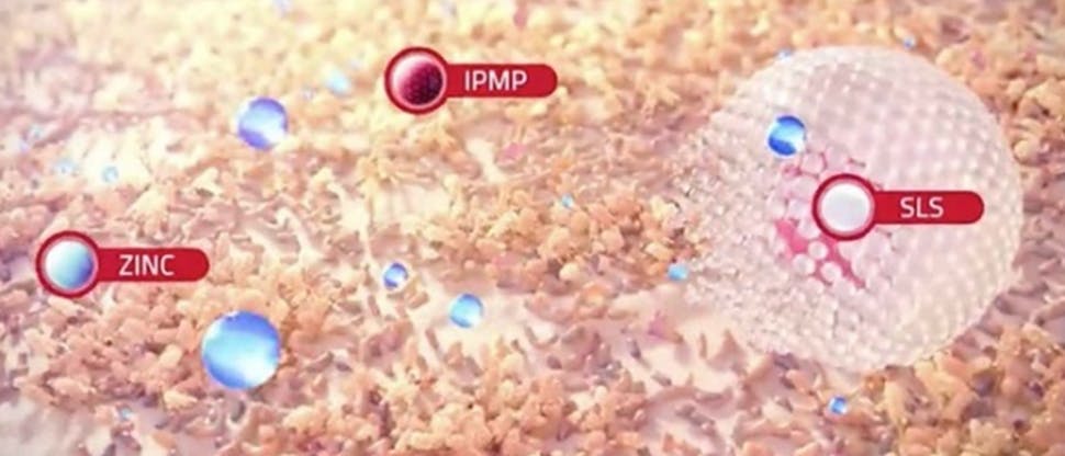 Image of IPMP + zinc molecules